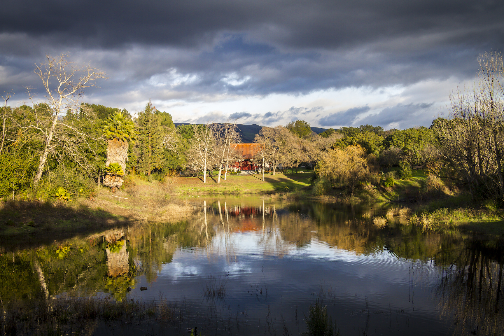 OverfeltGardens