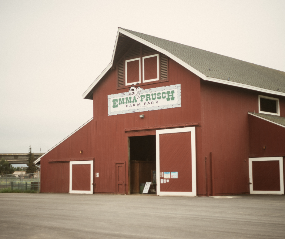 Emma Prusch Barn