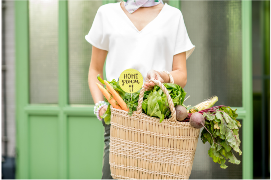 Vegetables in Basket photo from Canva