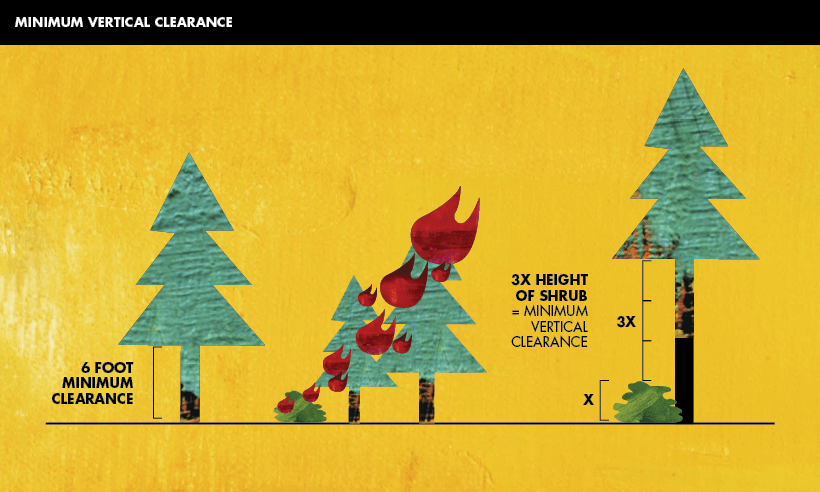 An infographic showing vertical vegetation clearance around a home.