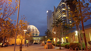 San Jose City Hall Rotunda and Tower at Dusk