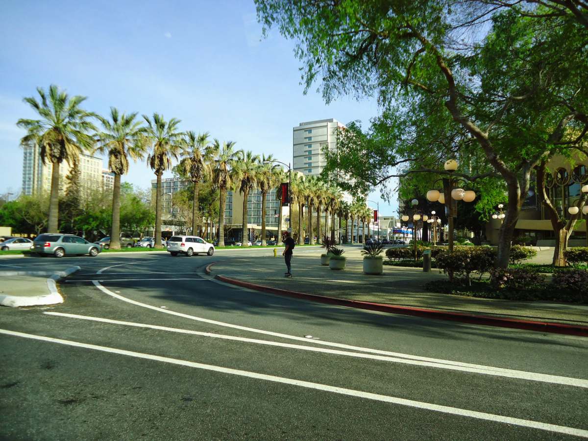 downtown-san-jose-with-trees-and-street-in-san-jose-image