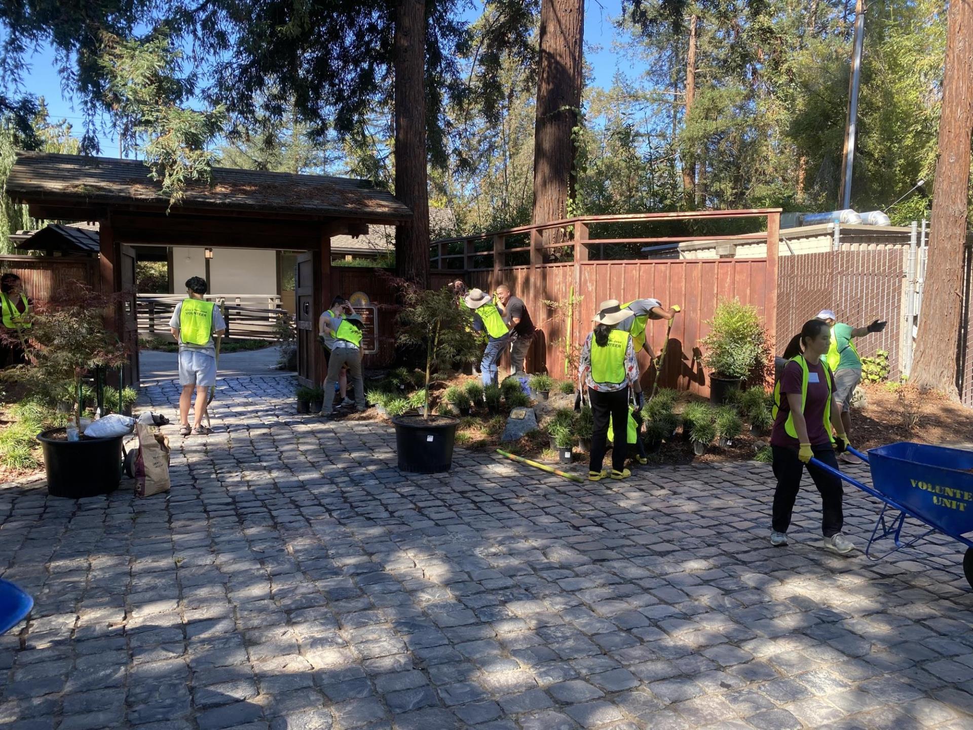 Climate Action Day volunteers at the Japanese Friendship Garden