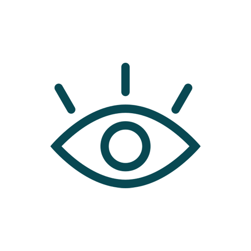 Vision Dark Teal Icon