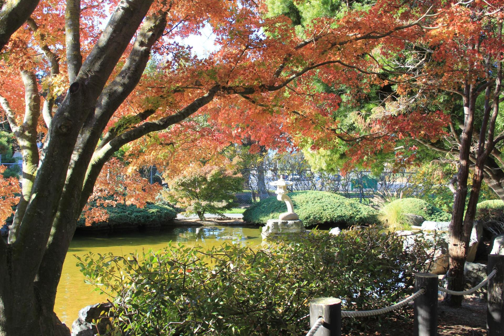 Japanese Friendship Garden