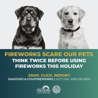 Fireworks Scare Pets Graphic with two dogs