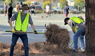 Volunteers wearing yellow vests shovel pine needles outside on a sunny day