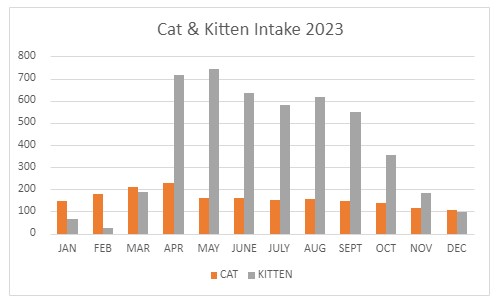 Kitten intake in 2023