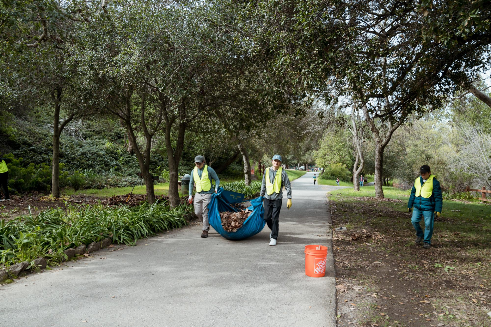 Two volunteers wearing green vests haul a tarp full of dried leaves to the disposal area.