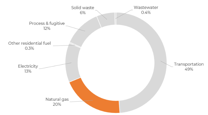 2021 pie chart