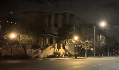 Mixed streetlighting and pedestrian lighting at Old Bayshore Road