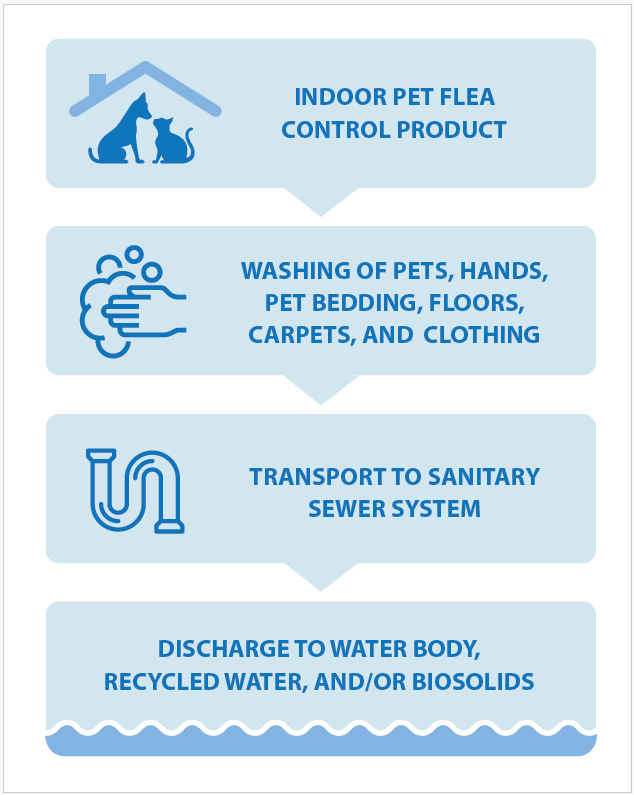 Pathway of flea and tick medications from pet to our waterways