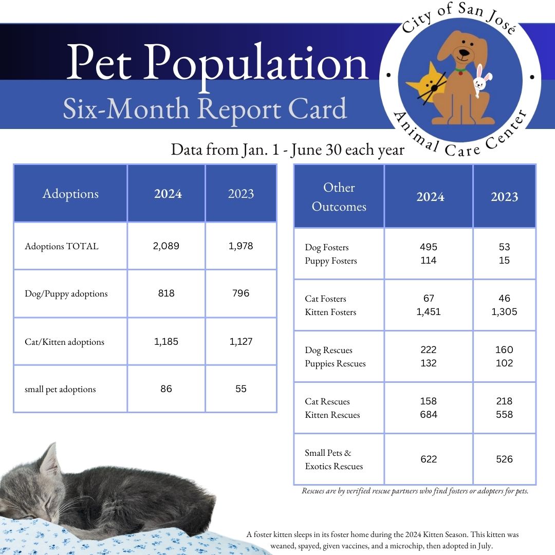 Pet Population Report Card -Adoption Foster Rescue