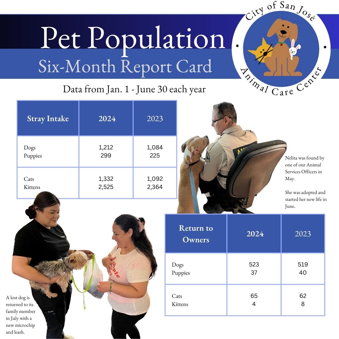 Pet Population Report Card - Intake RTO (1)