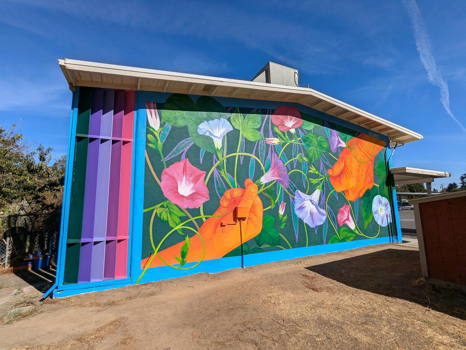 Wide shot photograph of multicolor exterior mural