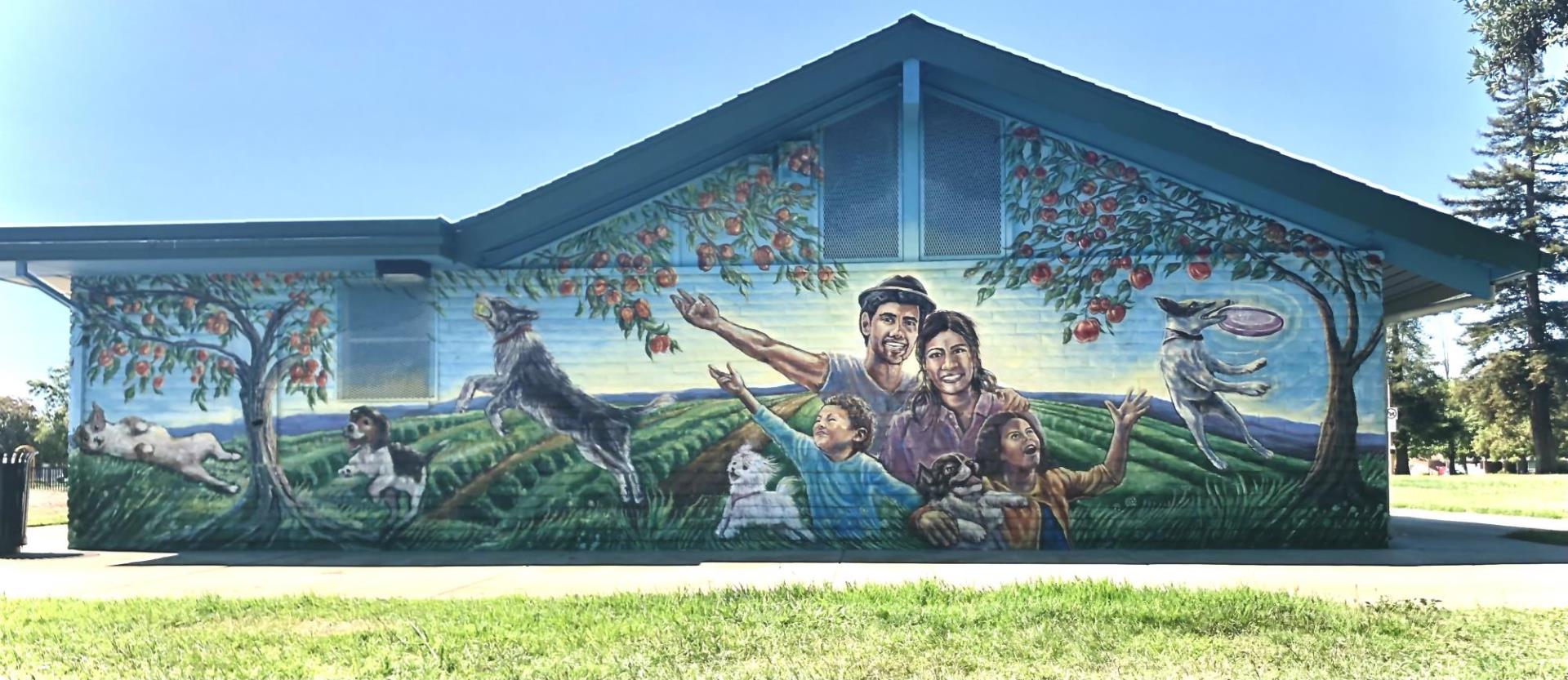 Wide shot photograph of multicolor exterior mural