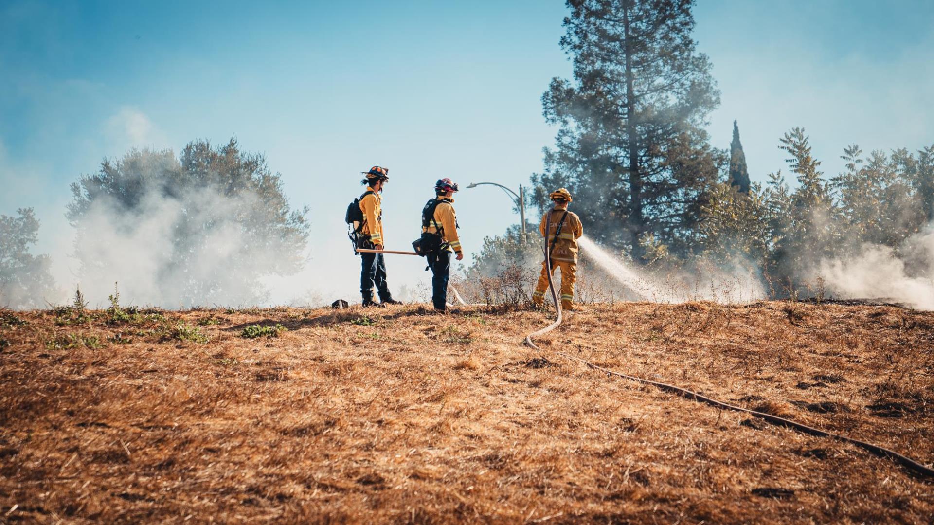 Three SJFD firemen extinguish a field fire