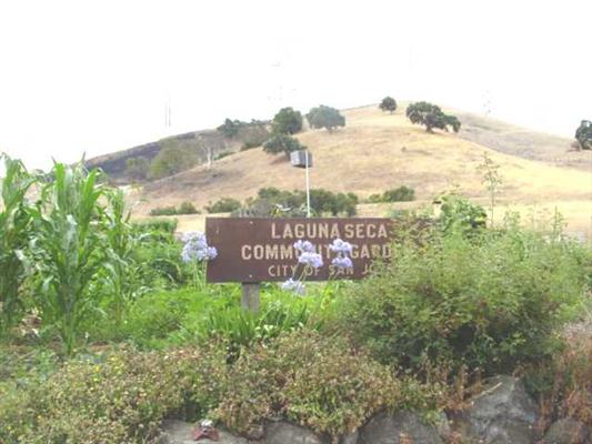 Laguna Seca Community Garden