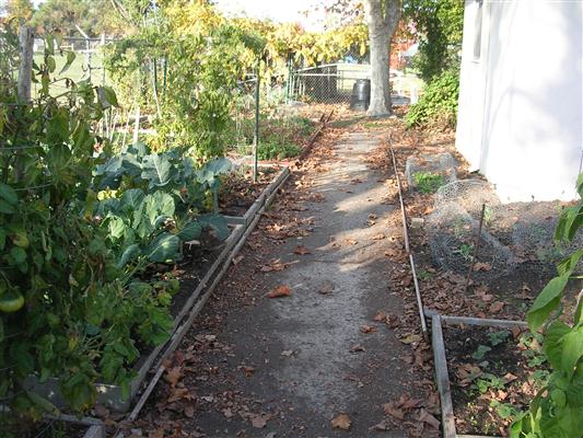 Rainbow Community Garden