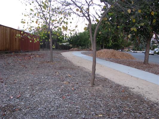 Barberry Lane Walkway