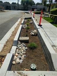 Rain garden along Meridian Ave.