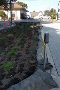 Rain garden and permeable pavers on Sunol St.