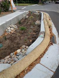 Rain garden on University Ave.