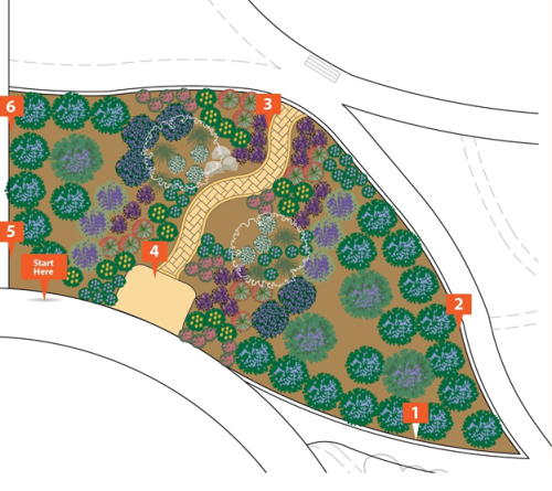 Illustrated diagram of the Café Garden