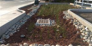 A small garden full of mulch and vegetation, surrounded by street and a sidewalk