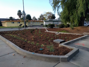 A garden full of mulch and other vegetation, surrounded by sidewalk