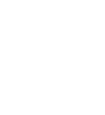 police Icon