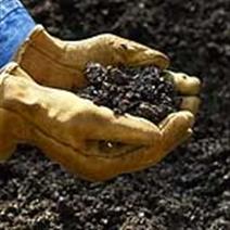 hands holding compost soil