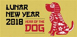 Lunar New Year 2018 thumbnail