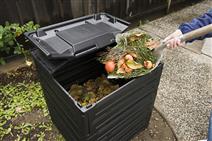 backyard composting