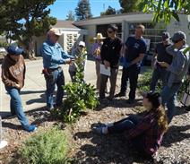 Native Plants