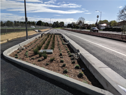 Chynoweth Avenue with an installed rain garden and new asphalt. 