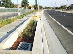 Bioretention rain garden along Autumn Parkway.