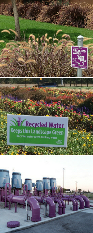 Collage of photos from South Bay Water Recycling