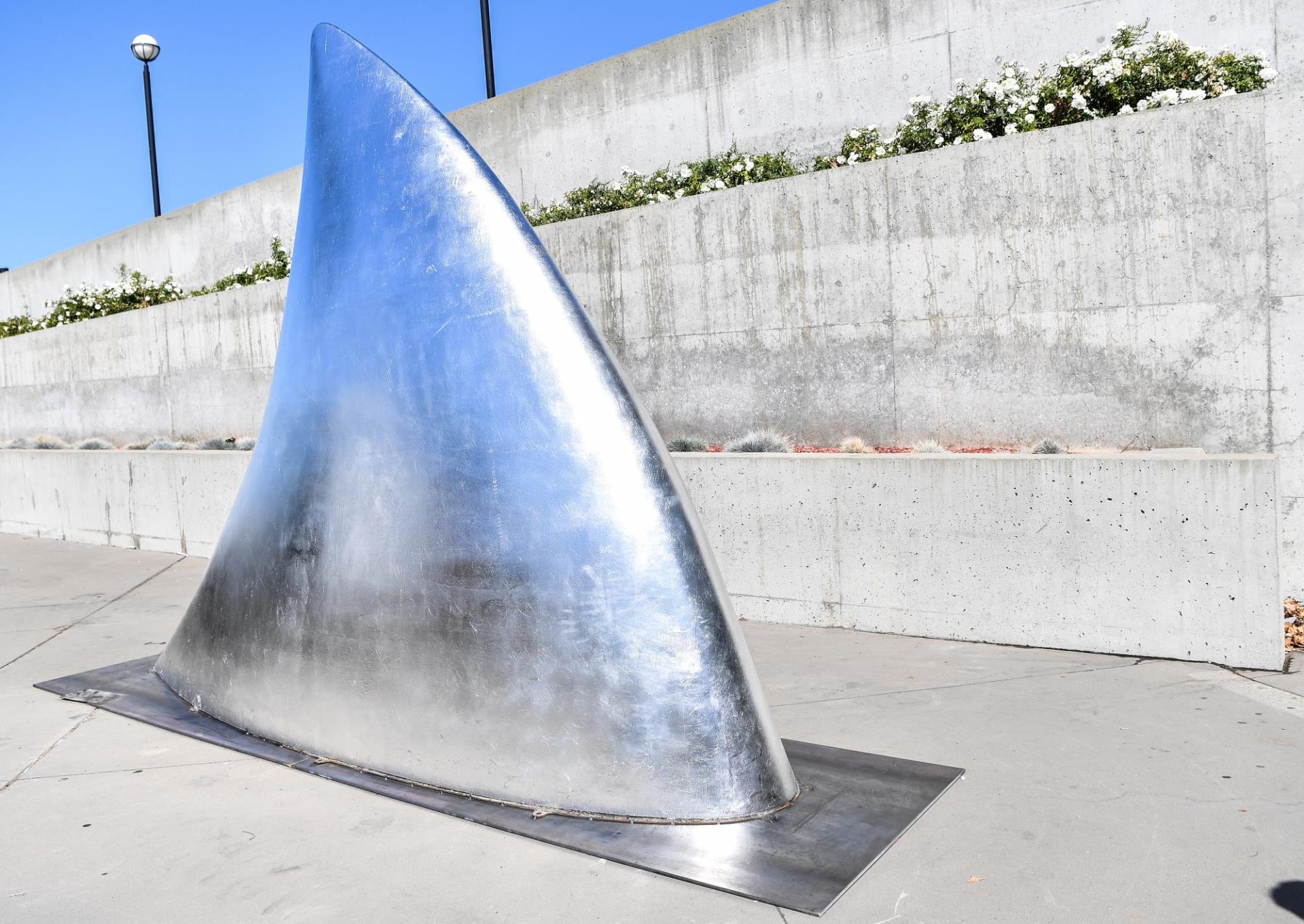 Silver Shark Fin Sculpture