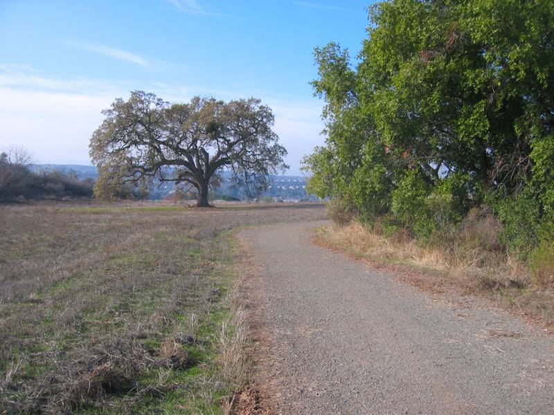 CD08 Evergreen Creek